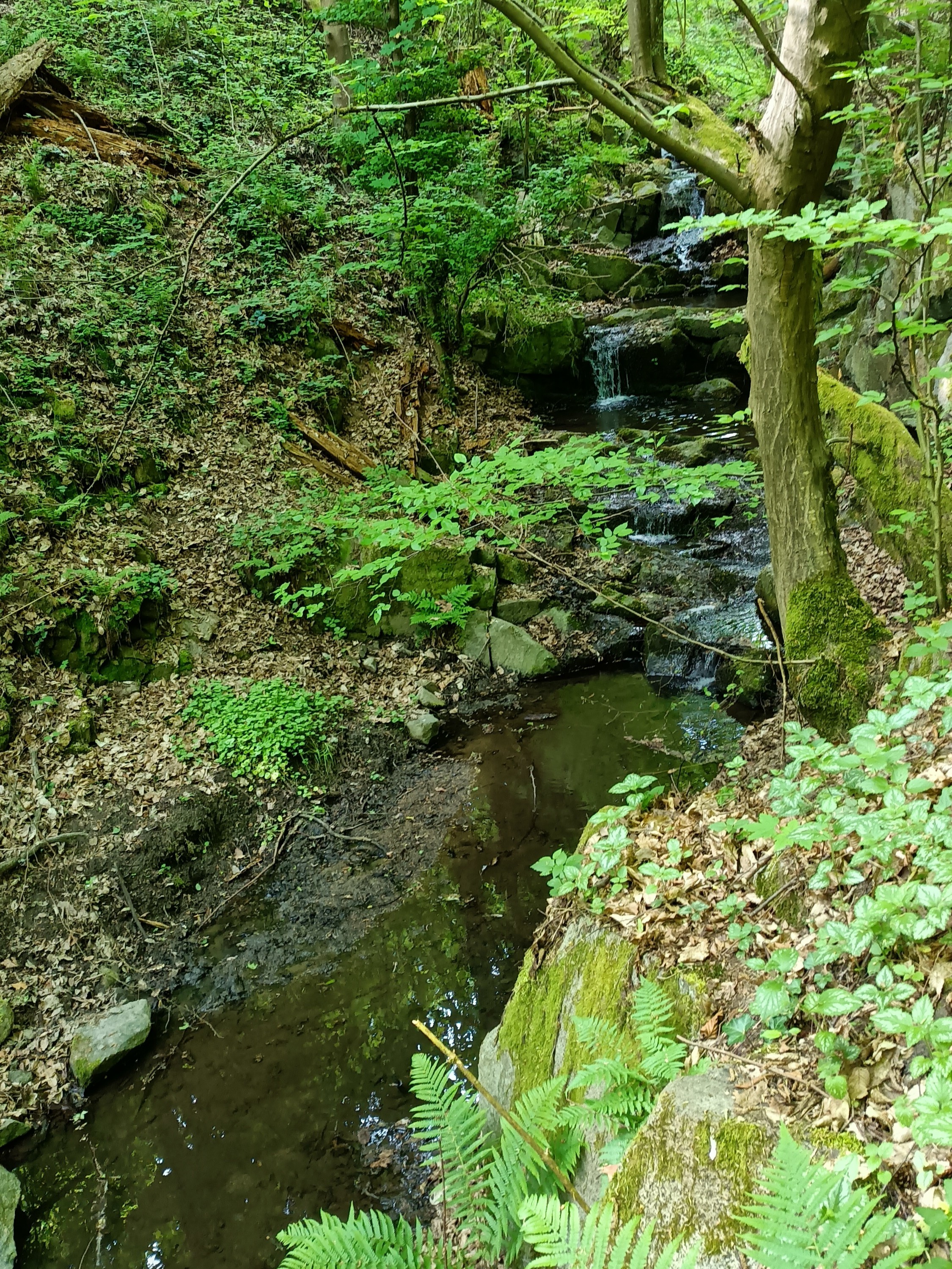 Chatová oblast u Sázavy